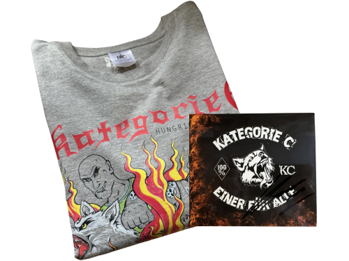 Set CD und T-shirt Einer für alle grau limitiert