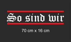 Heckscheibenaufkleber So sind wir